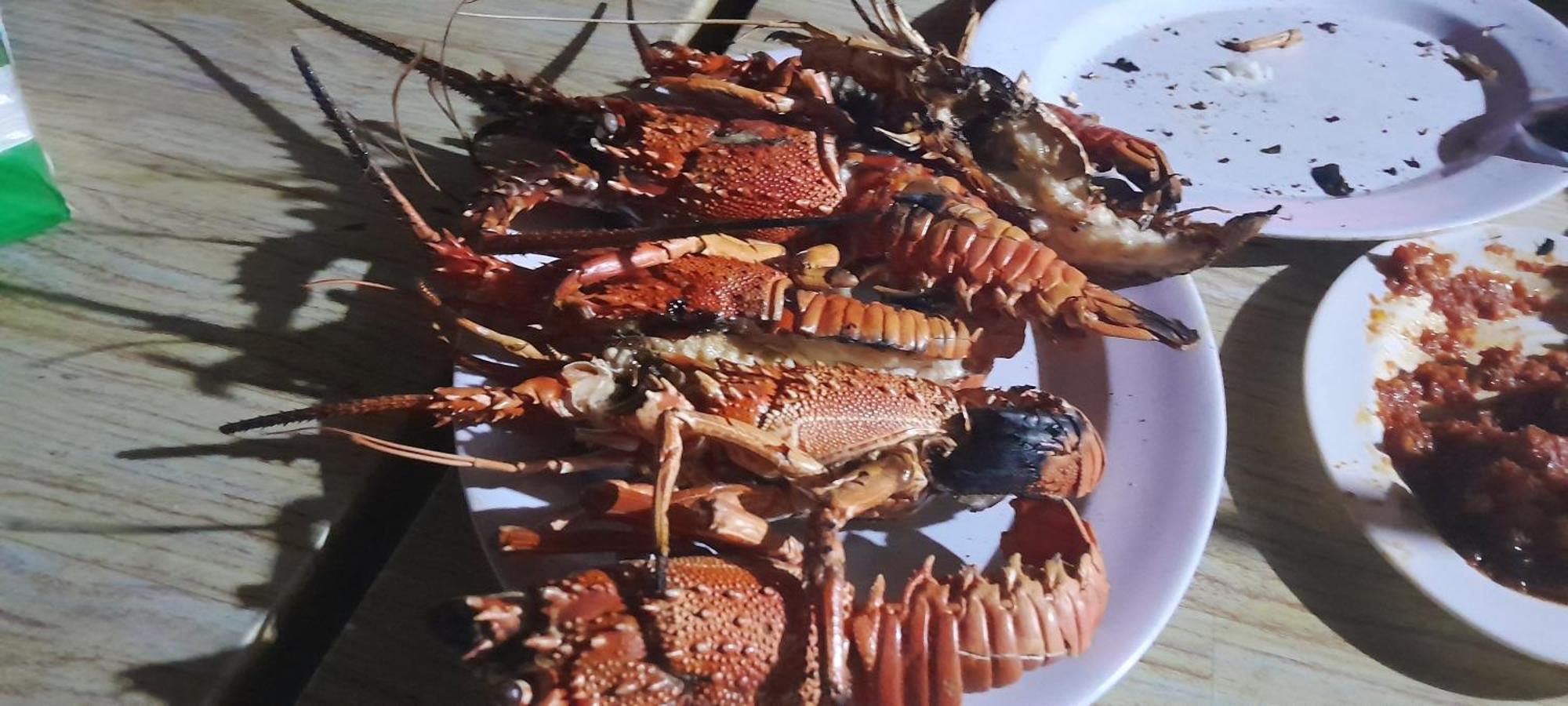 Ekas Beach Guesthouse And Restaurant 客房 照片